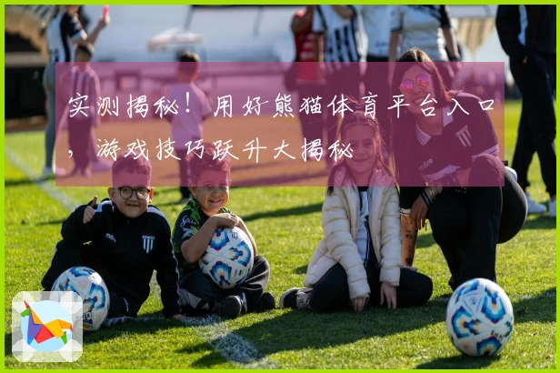 实测揭秘！用好熊猫体育平台入口，游戏技巧跃升大揭秘