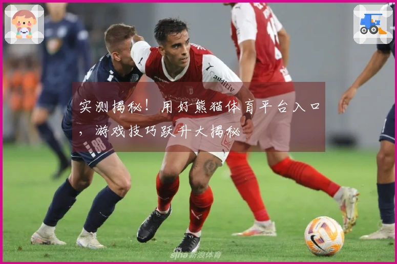 实测揭秘！用好熊猫体育平台入口，游戏技巧跃升大揭秘